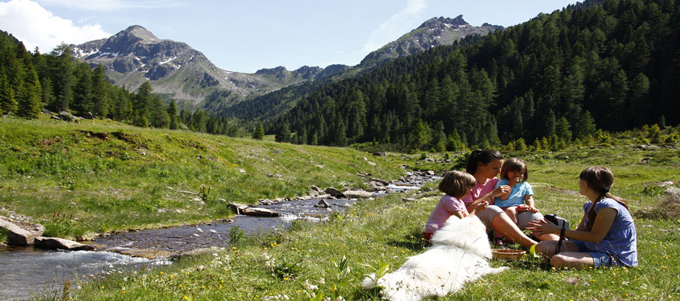 Estate in Val di Fiemme