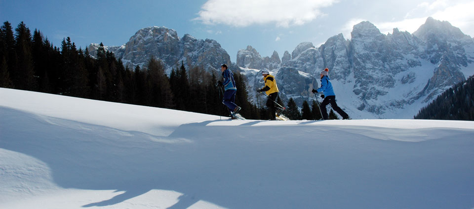 Inverno in Val di Fiemme