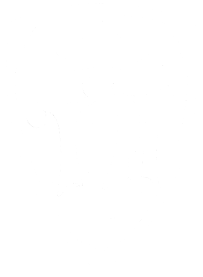 Touring Hotel predazzo Logo